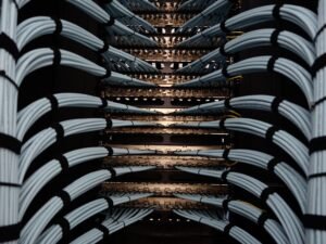 Shared Hosting vs. Managed VPS Which Website Hosting Environment Suits Your Business Scale